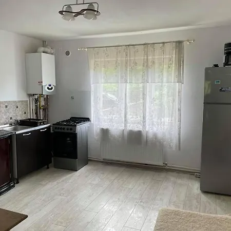 Cozy, Panorama Superba, Gratar Si Relaxare Piatra Neamt