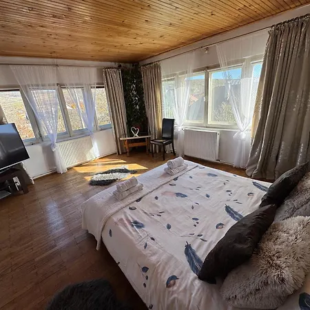 Cozy, Panorama Superba, Gratar Si Relaxare Piatra Neamt