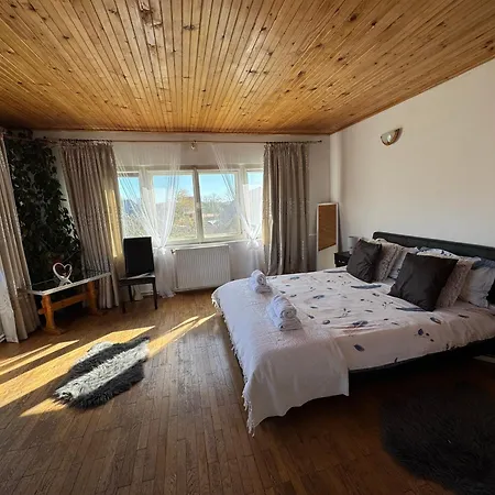 Villa Cozy, Panorama Superba, Gratar Si Relaxare Piatra Neamt
